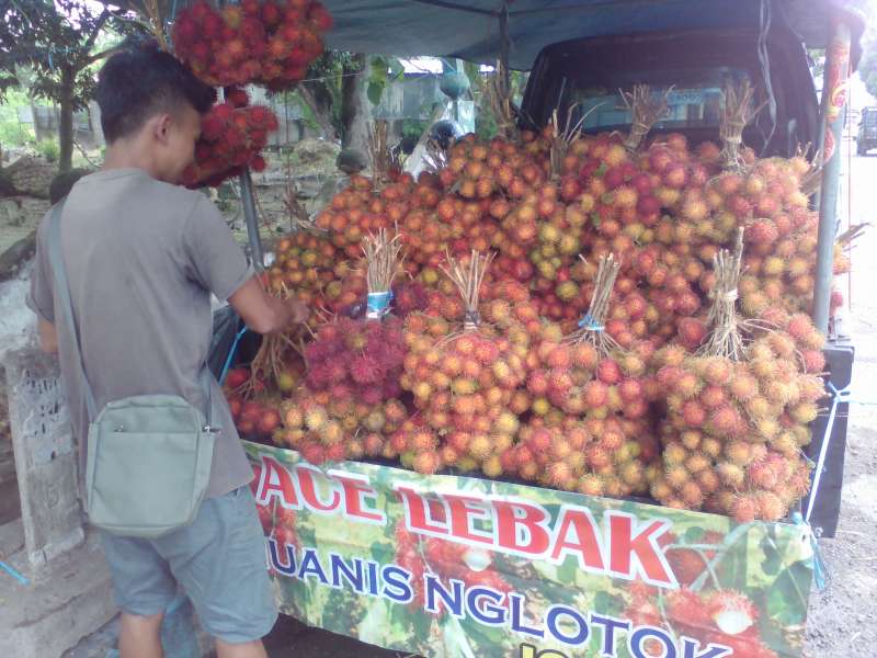 Rambutan Jepara Serbu Bojonegoro
