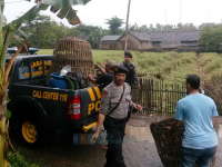 Polres Bojonegoro Gerebek Arena Sabung Ayam di Dander