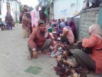 Pasar Ayam Tobo, Tiap Hari Transaksi Ratusan Ekor Ayam