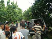 As Patah Saat Melaju, Mobil Panther di Purwosari Tabrak Pohon