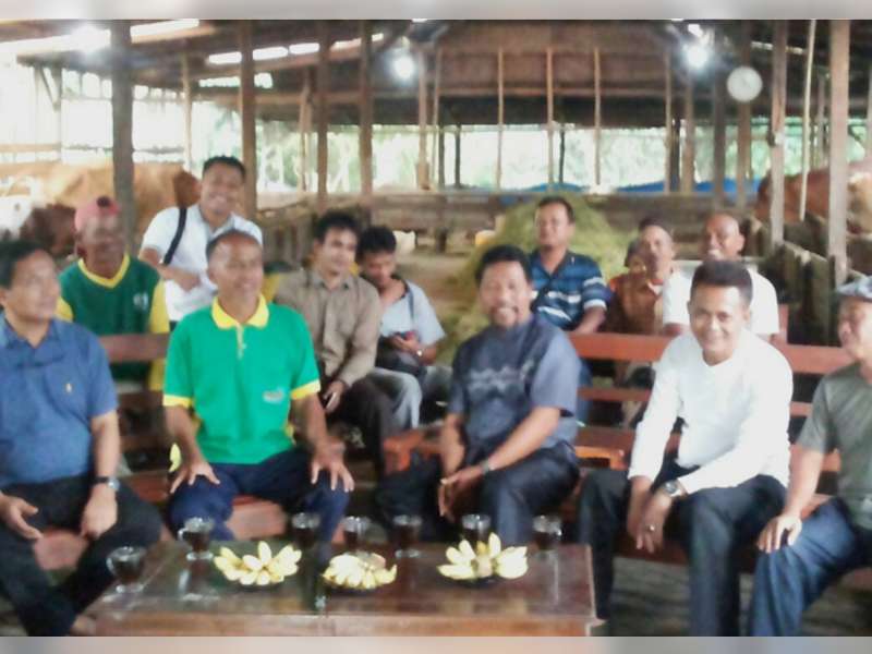 Serap Aspirasi Peternak Sapi, Kuswiyanto Kunjungi Kandang Milik Kusnan di Sukosewu