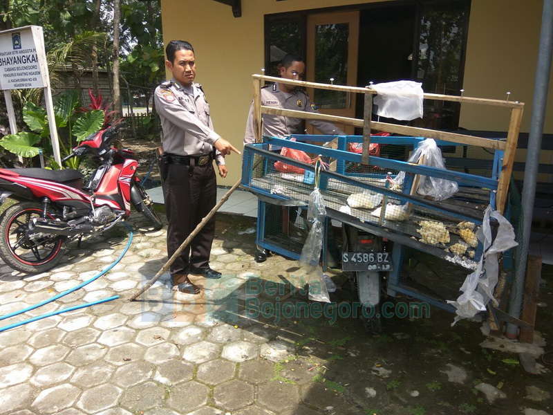 Dua Motor Bersenggolan di Ngasem, Satu Pengendara Patah Kaki