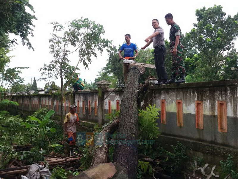 Pohon Besar Tumbang Halangi Jalur Rel Surabaya-Jakarta