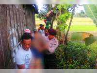 Seorang Kakek di Parengan, Meninggal Dunia di Atas Pohon Waru Akibat Tersengat Listrik