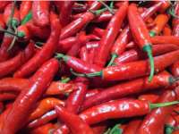 Hanya Cabai Rawit Merah yang Mengalami Kenaikan Harga
