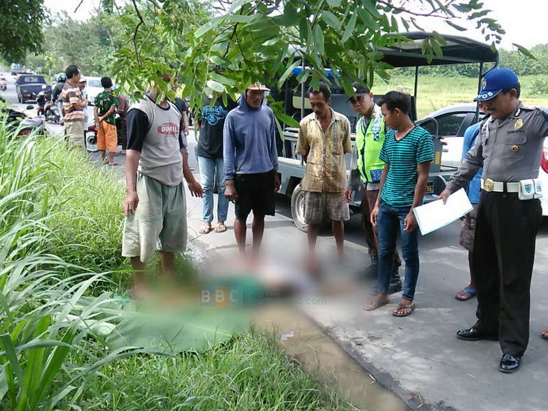 Seorang Pejalan Kaki di Kecamatan Singgahan Tewas Tertabrak Truk