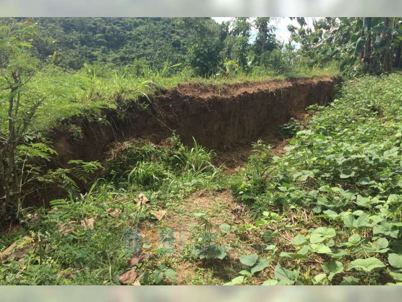 BPBD dan PPSDM Migas Cepu Keluarkan Analisa dan Rekomendasi