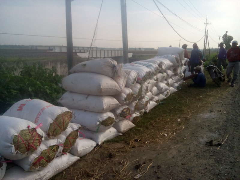 Panen Raya, Disperta akan Adakan Sergab Selama Dua Minggu