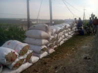 Panen Raya, Disperta akan Adakan Sergab Selama Dua Minggu