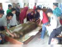 PNS di Kapas Meninggal Dunia Saat Naik Motor