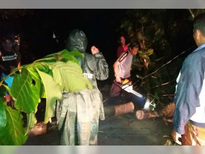 Pohon Tumbang di Sugihwaras, Sempat Mengganggu Arus Lalu Lintas