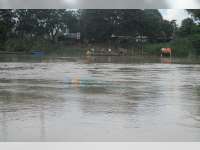 Bengawan Solo Meluap, Bojonegoro Kota Masih di Bawah Siaga