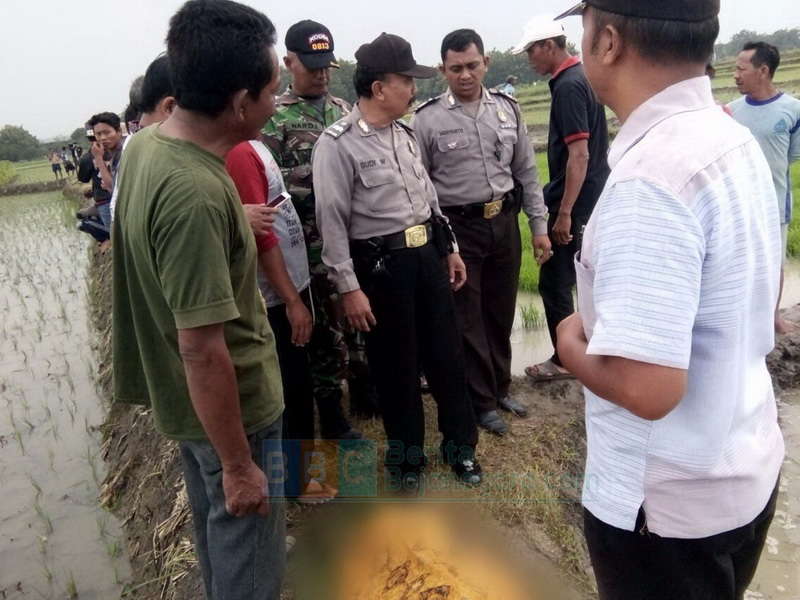 Sakit Kambuh, Seorang Perempuan Buruh Tani Meninggal di Sawah