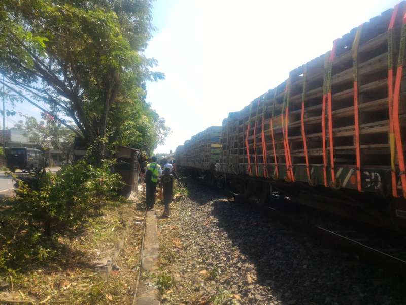 Tabrak Pohon Tumbang, Kereta Api Argo Anggrek Merugi Rp 50 Juta