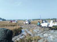 Bulog Siap Beli Gabah Kering Petani Rp 3700 Perkilogram