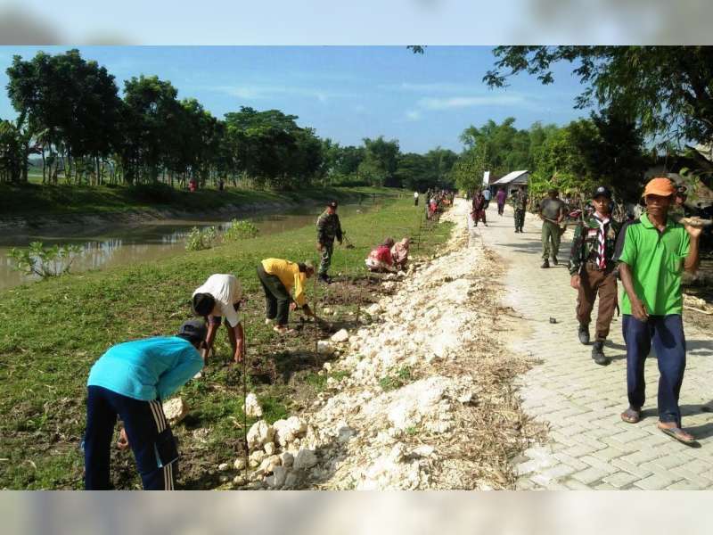Kodim 0813 Bojonegoro Tanam 5000 Pohon Penghijauan