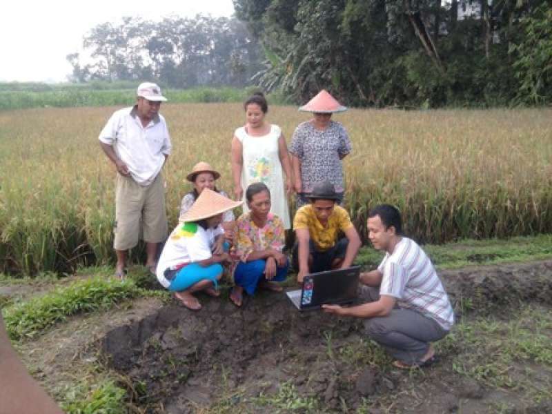 Usia Lewat Batas, 82 Penyuluh Pertanian Gagal Diangkat CPNS