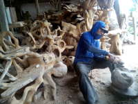 Perajin Bonggol Kayu Jati Margomulyo Kesulitan Bahan Baku