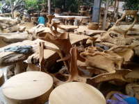 Kerajinan Bonggol Kayu Jati Margomulyo Dikenal Unggul Kualitasnya