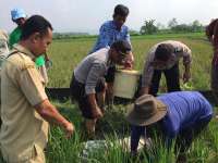 Tersengat Listrik Jebakan Hama di Sawah, Petani di Kanor Meninggal Dunia