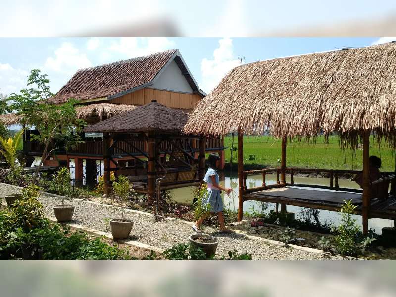 Sinergikan CSR JOB PPEJ dan APBDes, Tanah TKD Disulap Jadi Agro Kuliner