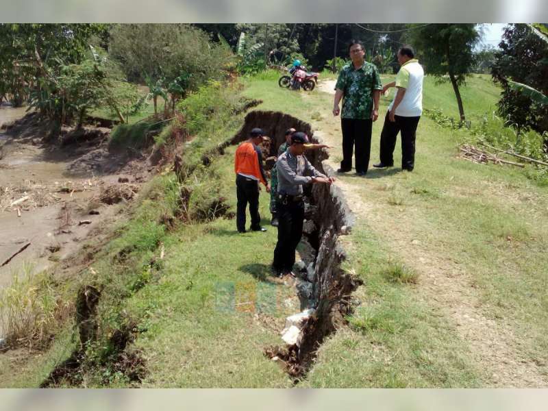 Tanggul Penahan Bengawan Solo di Kanor, Kembali Alami Longsor