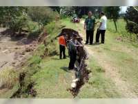 Tanggul Penahan Bengawan Solo di Kanor, Kembali Alami Longsor