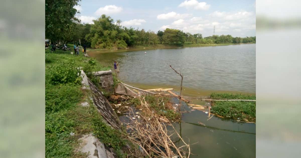 Panen Ikan di Embung Sonorejo  BeritaBojonegoro.com