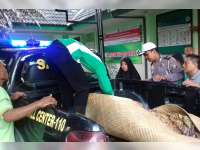 Diduga Mengantuk, Honda Civic Tabrak Pejalan Kaki di Soko, Korban Meninggal Dunia di TKP