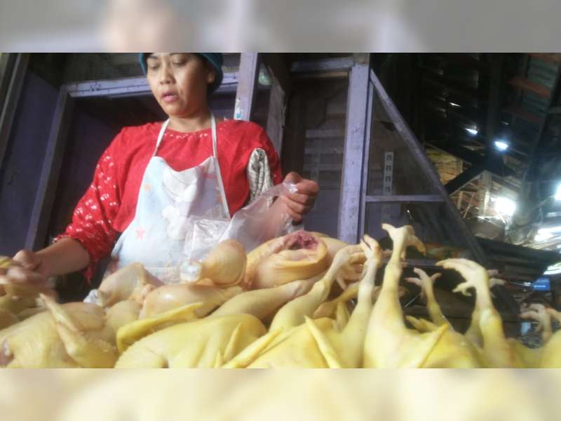 Jelang Ramadan Harga Daging Ayam Meroket