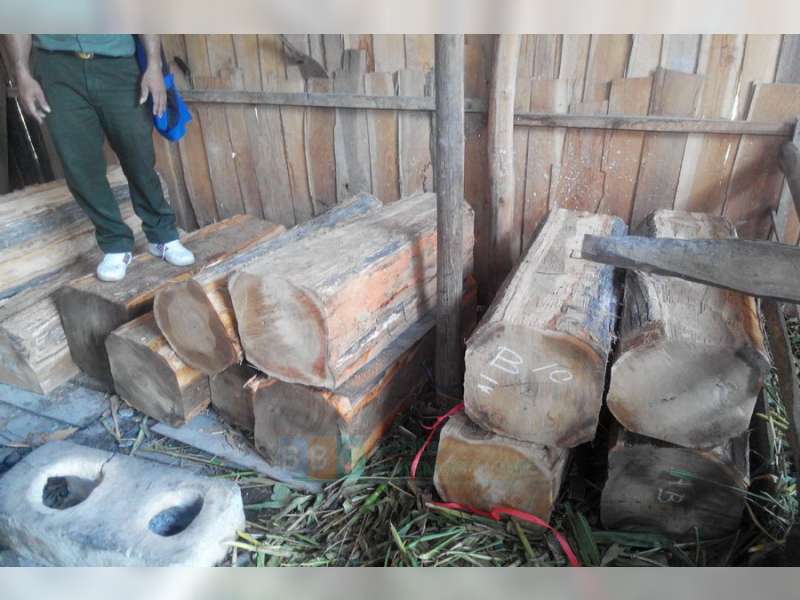 Operasi Gabungan Polsek Jati dan KPH Randubaltung Amankan 130 Batang Kayu Jati