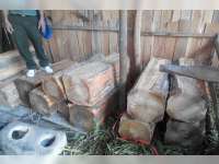 Operasi Gabungan Polsek Jati dan KPH Randubaltung Amankan 130 Batang Kayu Jati