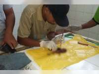 Mayat Bayi Laki-Laki Ditemukan di Kamar Mandi Terminal Rajekwesi Bojonegoro