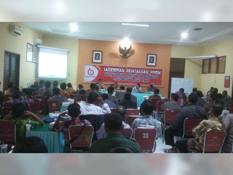 Hingga Mei 2017, 5 Pelaku Ilegal Logging Ditangkap