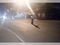 Terobos Lampu Merah di Sumberrejo, Honda Revo Ditubruk Yamaha Mio, 3 Orang Luka-Luka