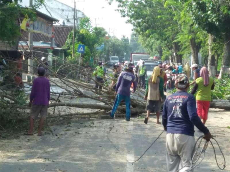 Ada Penebangan Pohon di Dander, Polisi Atur Lalu Lintas