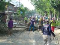 Ada Penebangan Pohon di Dander, Polisi Atur Lalu Lintas