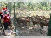 Perhutani Parengan Genjot Desa Malo Jadi Tujuan Wisata Kuliner dan Edukasi