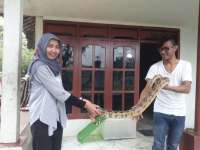 Belajar Mencintai Hewan-Hewan kepada Solikin Ular