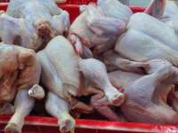 Harga Daging Ayam di Pasar Mulai Naik