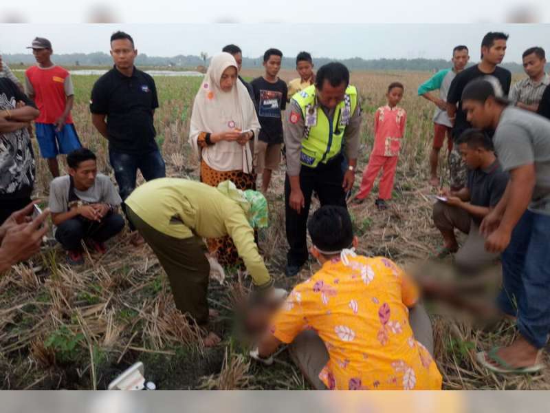 Diduga Epilepsi Kambuh, Warga Sukosewu Ditemukan Meninggal Sawah