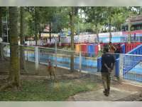 Tempat Wisata Taman Tirtonadi Jadi Alternatif Tujuan Wisata Warga Blora