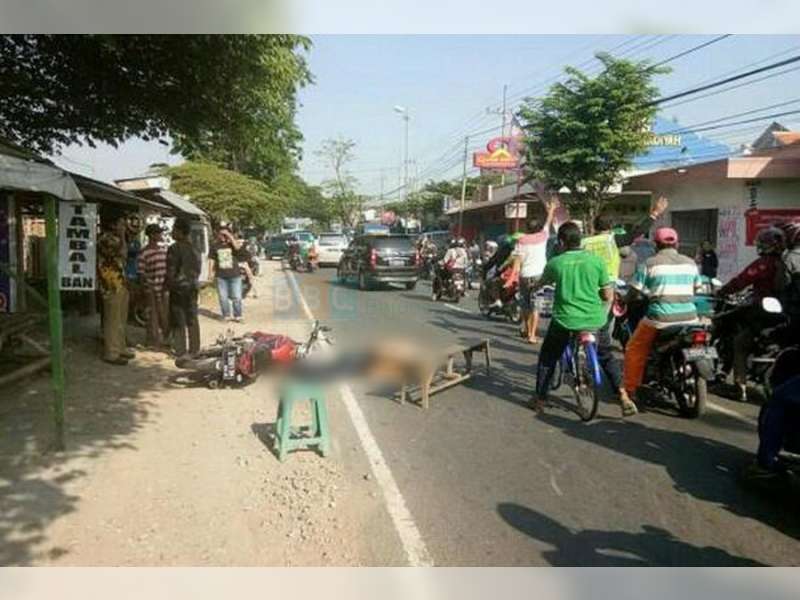 Kecelakaan Vixion Kontra Mobil Box di Sumberrejo, Pembonceng Motor Meninggal Dunia