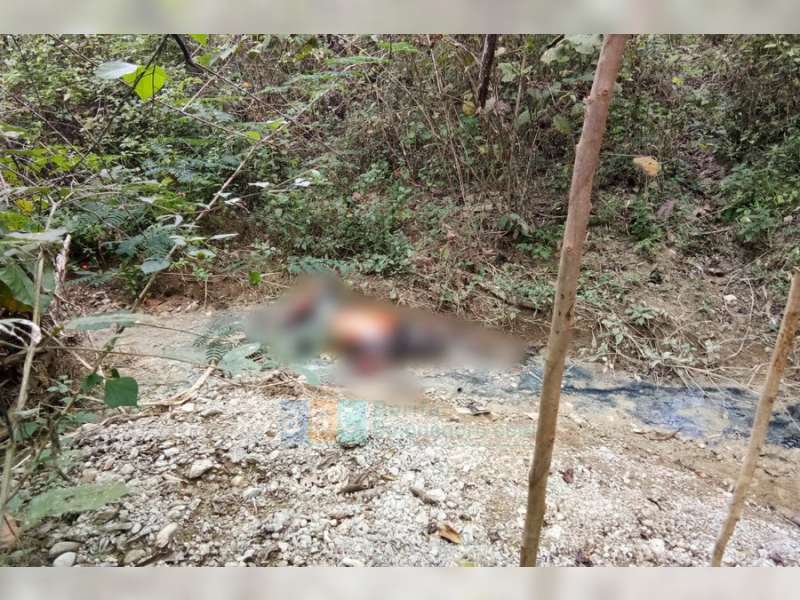 Pengemudi Mobil Honda Mobilio Yang Terparkir di Hutan Ngambon, Ditemukan Meninggal