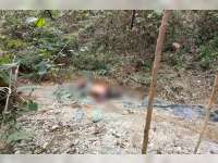 Pengemudi Mobil Honda Mobilio Yang Terparkir di Hutan Ngambon, Ditemukan Meninggal