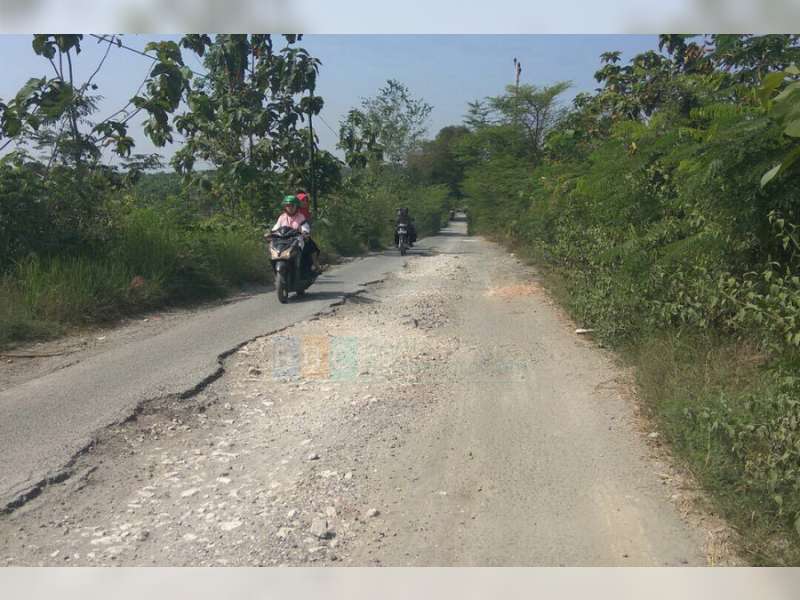 Jalan Poros Kecamatan Pilang-Menden Blora, Dikerjakan Bertahap