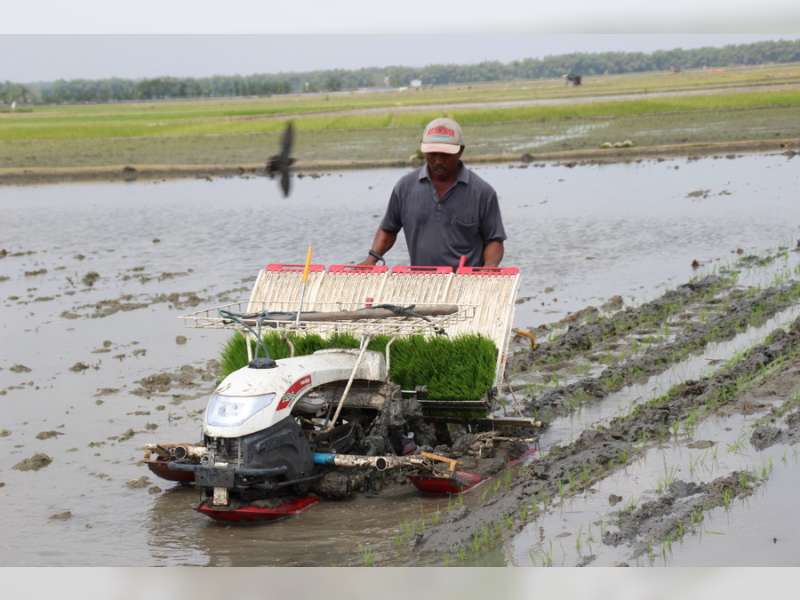 Upayakan Percepatan Tanam, Petani Blora Dilatih Operasikan Rice Transplanter