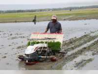 Upayakan Percepatan Tanam, Petani Blora Dilatih Operasikan Rice Transplanter