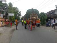 Reog Ponorogo dan Antusiasme Penonton