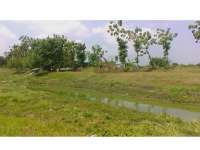 Hujan Ringan Masih Bakal Turun Hingga 10-20 Hari Lagi